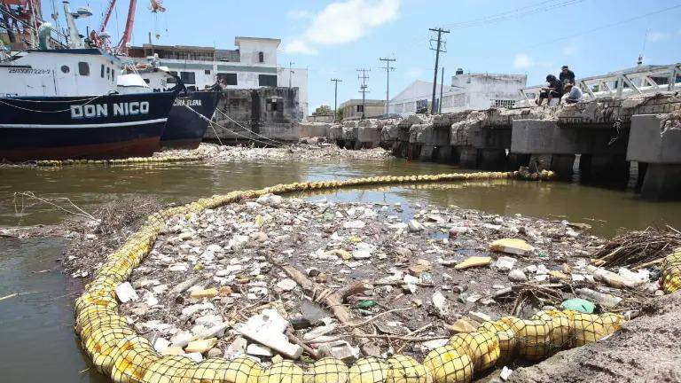 Con acciones como la instalación de biobardas y limpieza de playas, el colectivo MazConciencia evita que toneladas de desechos terminen en los océanos.