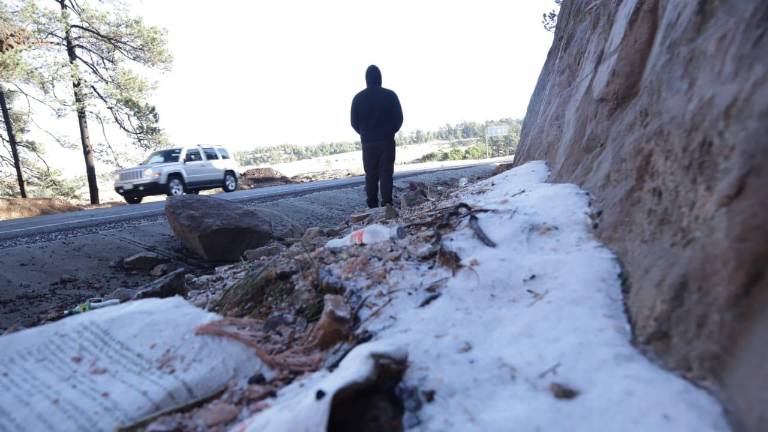 Durante la mañana de este viernes en la sierra de Durango se formó escarcha.