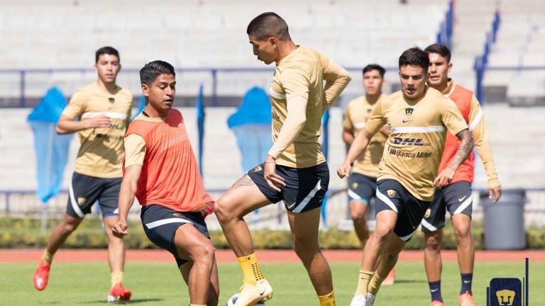 Pumas regresará a la escena internacional, cuando se mida al Everton inglés el próximo 28 de julio.