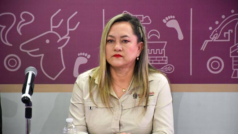 Verona Hernández dice que los números de laboratorios clandestinos asegurados pueden variar, ya que el Ejército tiene los datos precisos.