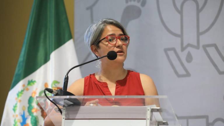 Karla Quintana, ex titular de la Comisión Nacional de Búsqueda, habla sobre el censo del Gobierno sobre personas desaparecidas.