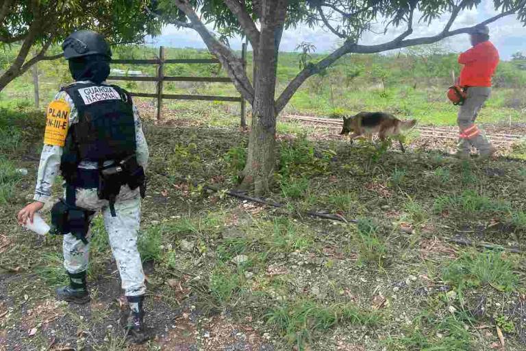 Tras años de omisiones, Chiapas busca a personas desaparecidas en ranchos vinculados al narco; hallan 12 fosas en 3 meses
