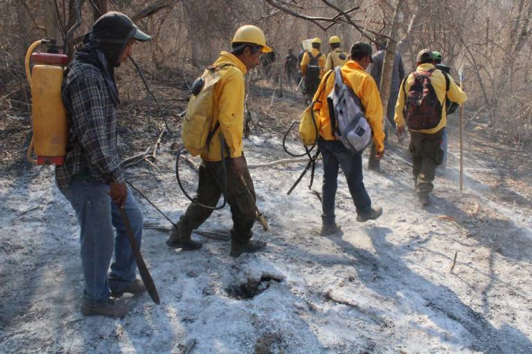 Brigadas de Protección Civil y voluntarios acuden al Yauco a combatir incendio forestal