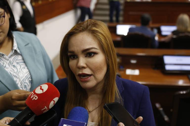CEAIP no es una oficina más... desaparición es un retroceso: Diputada Paola Gárate