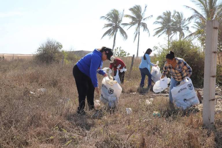 Realizan intensa jornada de limpieza en playas de Elota