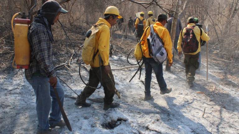 Brigadas de Protección Civil y voluntarios acuden al Yauco a combatir incendio forestal
