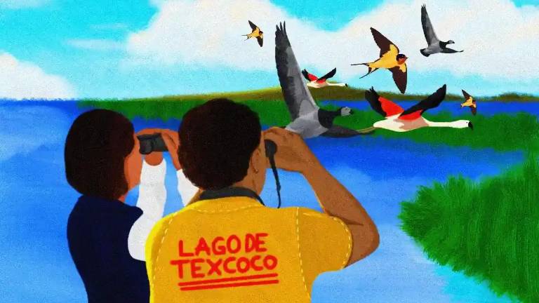 Las brigadas son parte de los subprogramas de conservación que dicta el Programa de Manejo de la Área de Protección de los Recursos Naturales Lago de Texcoco.