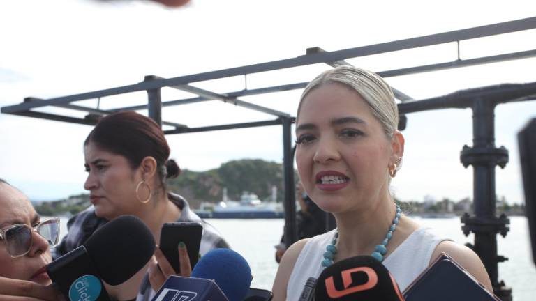 Palacios Domínguez indicó que los hoteles han registrado una ocupación del 80 por ciento.