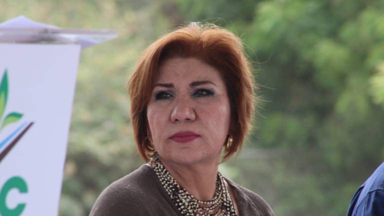 La Secretaria de Bienestar y Desarrollo Sustentable, María Inés Pérez Corral, habla de las dificultades en el combate a incendios forestales.