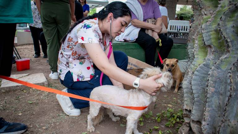 Veterinarios y estudiantes atendieron a decenas de mascotas durante la campaña de esterilización gratuita en Culiacán.