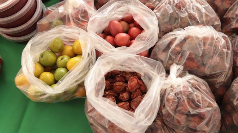 La cosecha de ciruela fue escasa este año en Agua Caliente.