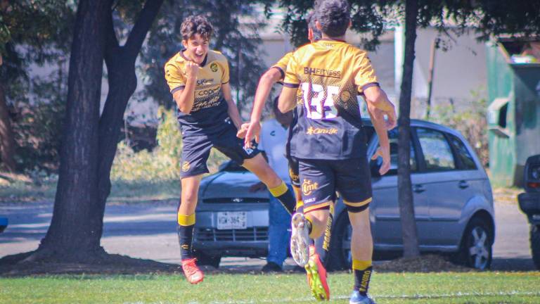 Dorados de Sinaloa ya es líder de su sector en la Liga TDP.