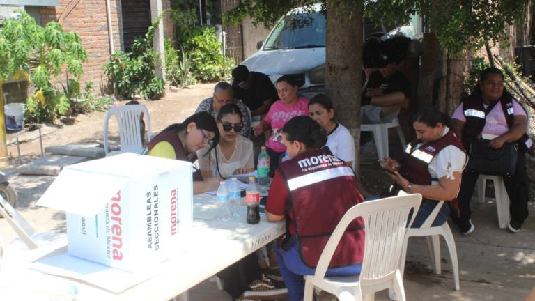 Militantes de Morena participaron en la primera jornada de elección de presidentes y secretarios de seccional en Rosario.