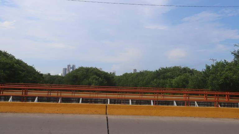Para aprovechar los recursos naturales, proponen construir un parque lineal en la zona de manglares.