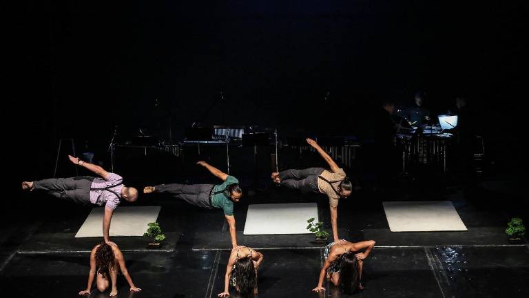 Danza Joven llevará su arte al Jardín Botánico.