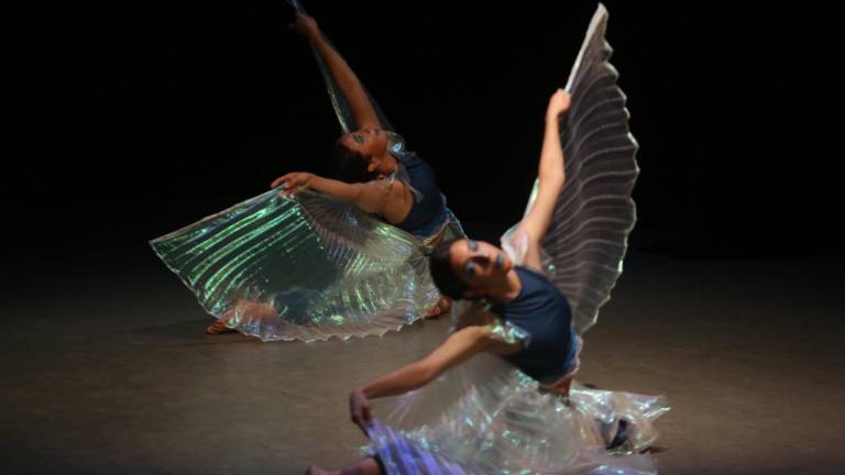 Las bailarinas emularon con sus movimientos a los peces pájarito.