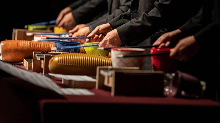 Ensamble de Percusiones SAFA, dirigido por el maestro Diego Rojas.