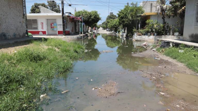 La fuga de aguas negras se ha convertido en una zona de contaminación y moscos, denuncian los vecinos.