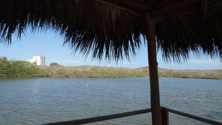 Desde el CIAD, llaman a que el desarrollo urbano que está teniendo Mazatlán se tenga como prioridad la protección de los recursos naturales.