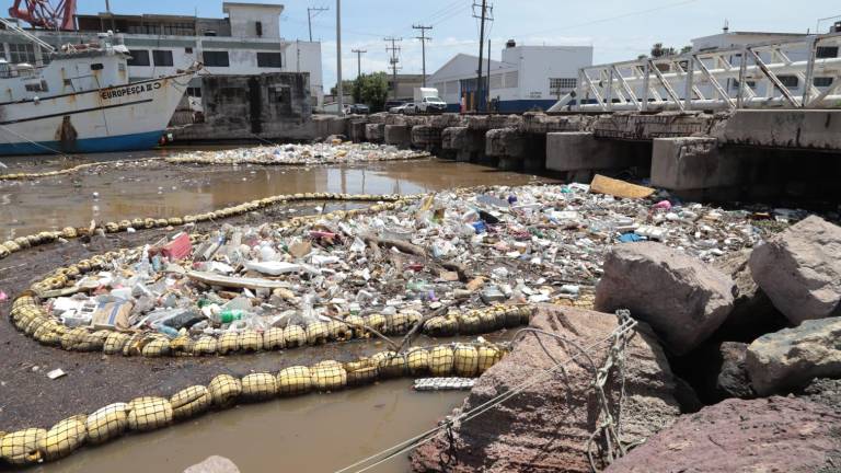 Logran con biobarda retener toneladas de basura en Mazatlán