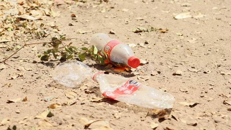 El plástico ha alterando el ambiente al estar presente en el agua, en el aire y el suelo.