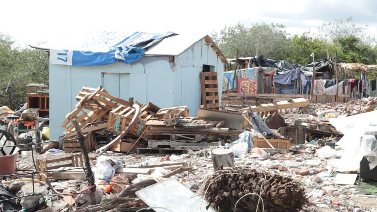 En los márgenes del Estero del Infiernillo en Mazatlán sigue en aumento las invasioens.