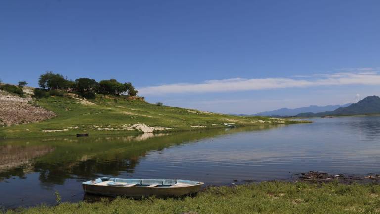 Presa de Sanalona.