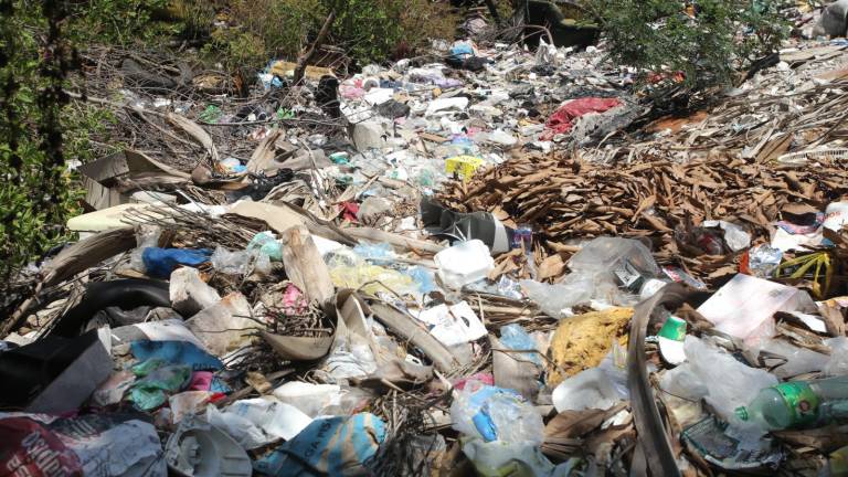 La basura abunda en el estero.