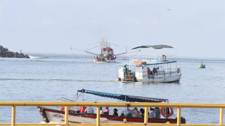 El 50 % de la flota camaronera representa a nivel país un aproximado de mil embarcaciones, y en Mazatlán, un aproximado de 200 embarcaciones.