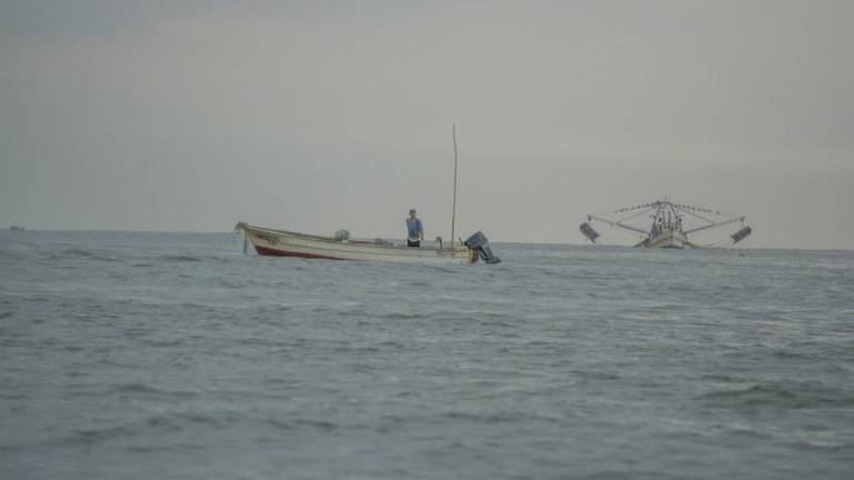 Ven ineficiente el combate a la pesca ilegal en mares de México.