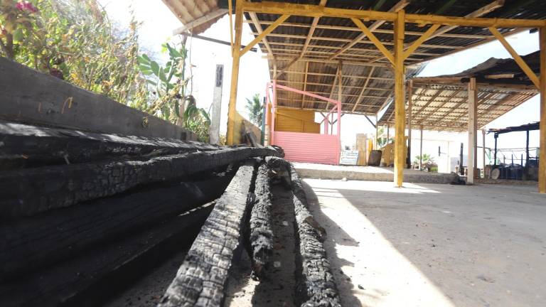 En el lugar se ya notan las primeras estructuras y las láminas para comenzar la reconstrucción.