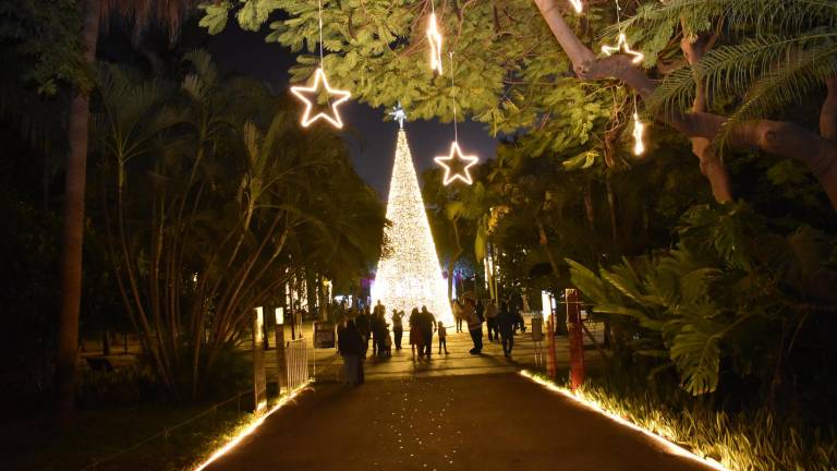 Navidad en el Botánico estará abierto al público hasta el 10 de enero.