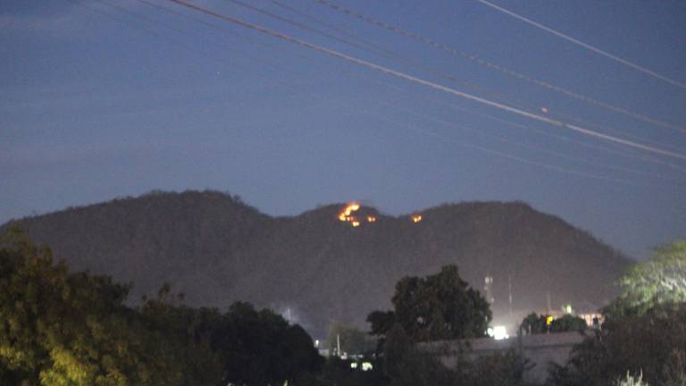 El incendio en el Cerro del Águila se debió a un basurón clandestino, se informó.