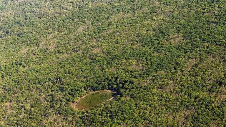 El complejo está proyecto para construirse en plena selva Maya.