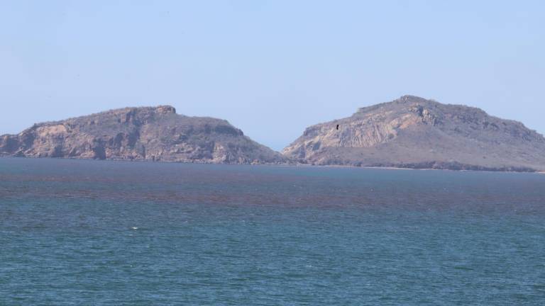 Aunque no se ha detectado riesgo inmediato, se vigilan las especies potencialmente tóxicas en el agua ante la presencia de marea roja en Mazatlán, señala especialista.
