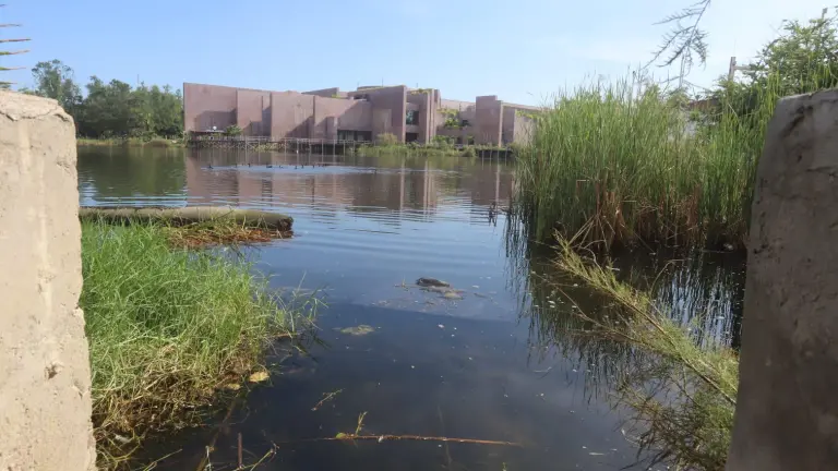 La Laguna del Camarón enfrenta contaminación por desechos plásticos y aceites.