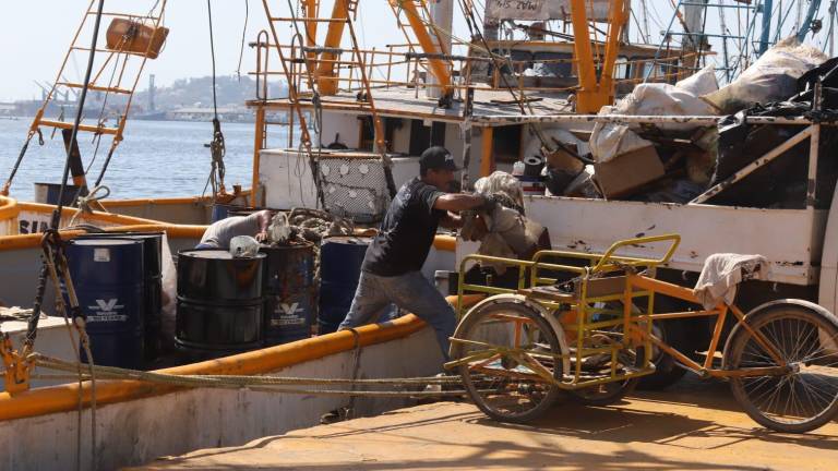 A una semana de que inició la temporada de capturas de camarón, pescadores confían que será buena, aunque por ahora, hay poco.