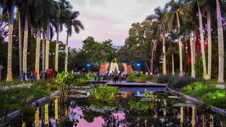 De 1 de diciembre hasta el 12 de enero de 2025, el jardín brindará las noches más brillantes de Culiacán.