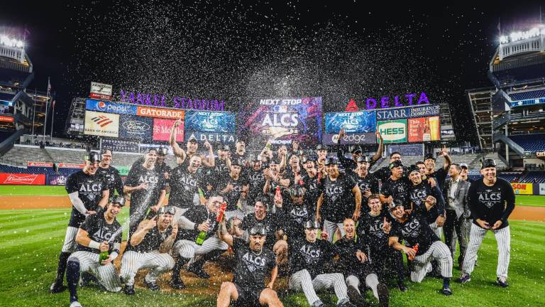 Los Yanquis tardaron, pero lograron su boleto para la Serie de Campeonato de la Liga Americana.