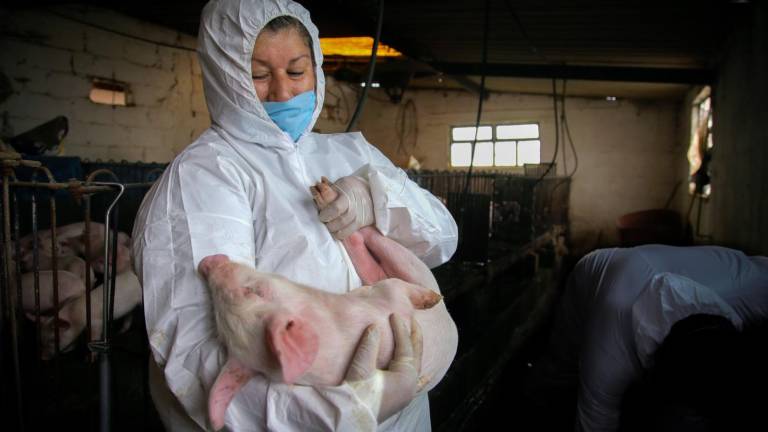 Berdegué Sacristán resaltó que la labor de las y los médicos veterinarios también ha sido fundamental para el bienestar de las comunidades rurales.
