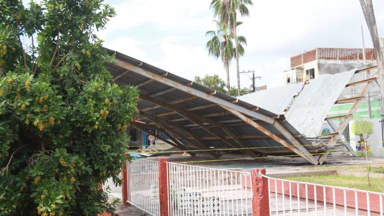 La techumbre de una cancha cayó hasta el suelo cubriendo casi toda la superficie.