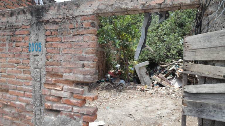 En la colonia Casa Redonda, en Mazatlán, don José ha vivido los últimos años en condiciones precarias y vecinos piden apoyo.