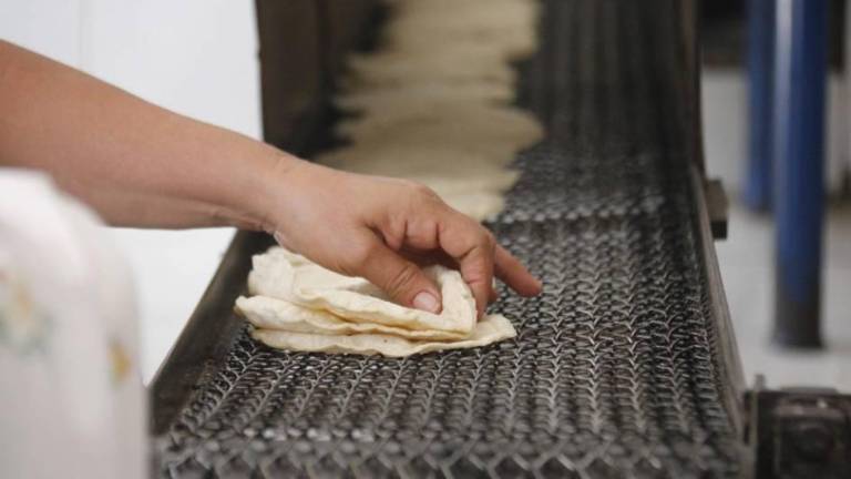 Durante este año se prevé que no haya aumento en el precio de la tortilla.