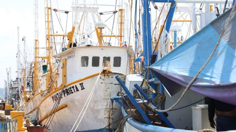 Para esta temporada de pesca de camarón, se prevé que solo 160 embarcaciones salgan del puerto de Mazatlán.