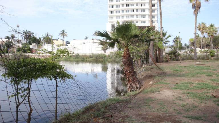 Algunas zonas del Parque Central muestran señales de abandono o falta de mantenimiento.