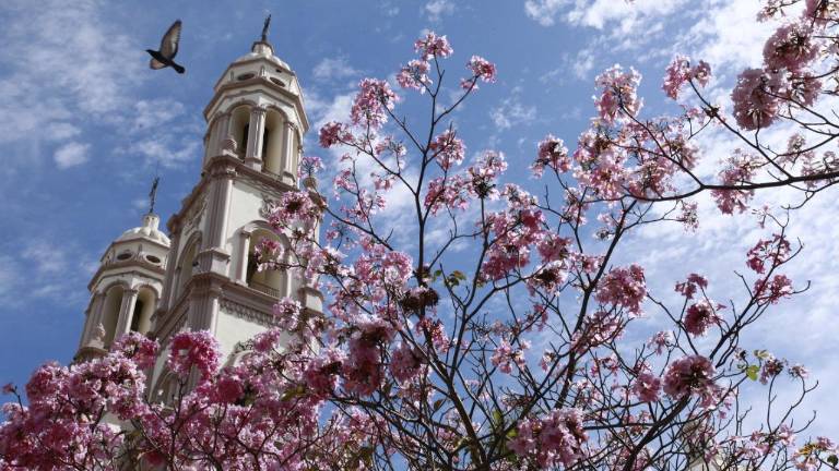 Llenan amapas de color a Culiacán