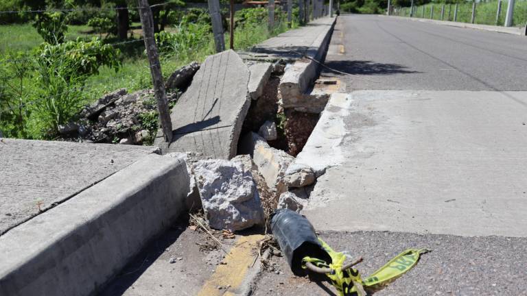 Mendoza Guerrero señala que es consciente que el camino tenía problemas en su construcción, pero el paso de camiones pesados vinieron a afectarlo más.