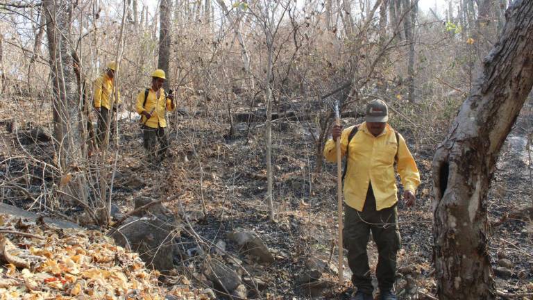 Vecinos de La Rastra: 20 años combatiendo incendios forestales con amor a su tierra.