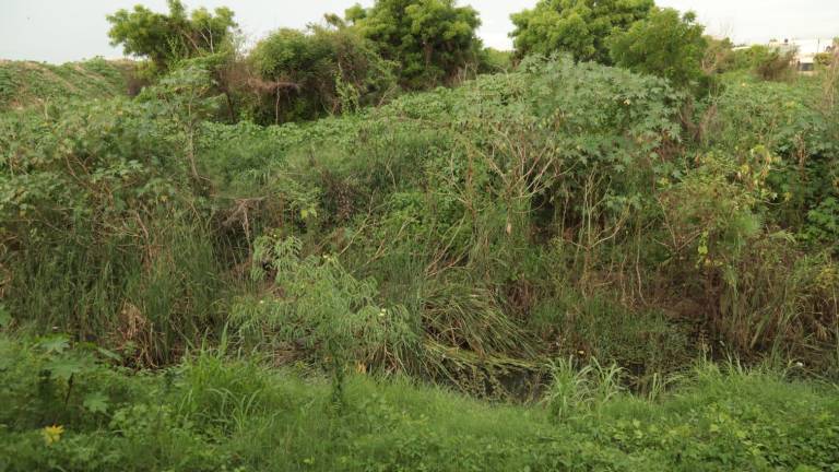 La Alcaldesa Estrella Palacios Domínguez no quiso opinar sobre el tema del arroyo Jabalines.