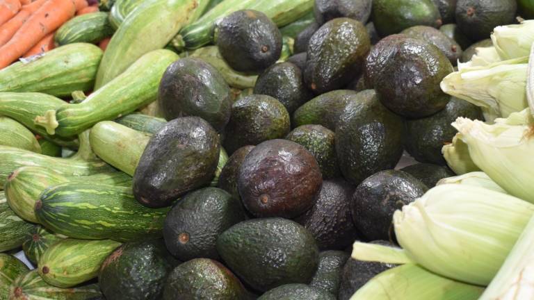 El aguacate es uno de los productos que han registrado un aumento de precio en los mercados.